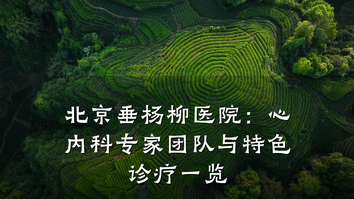 北京垂杨柳医院：心内科专家团队与特色诊疗一览