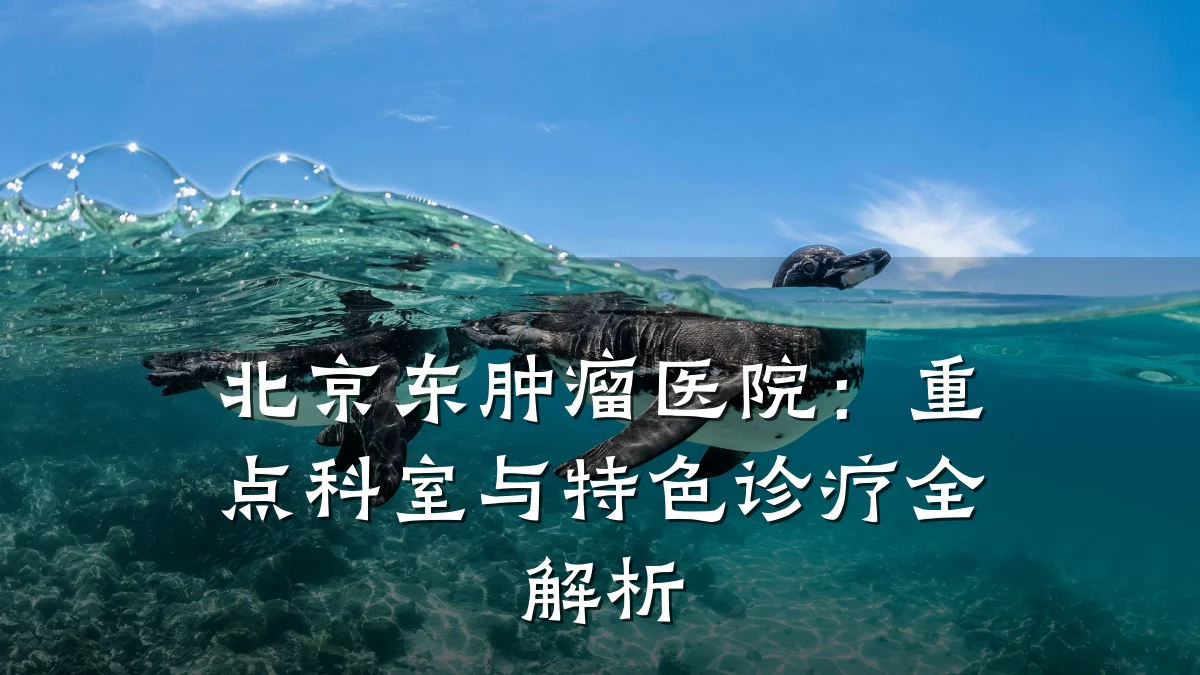 北京东肿瘤医院：重点科室与特色诊疗全解析