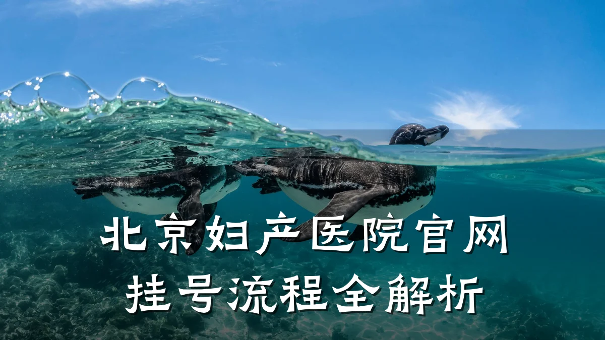 北京妇产医院官网挂号流程全解析