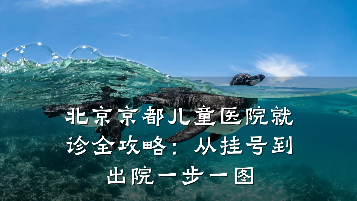 北京京都儿童医院就诊全攻略:从挂号到出院一步一图