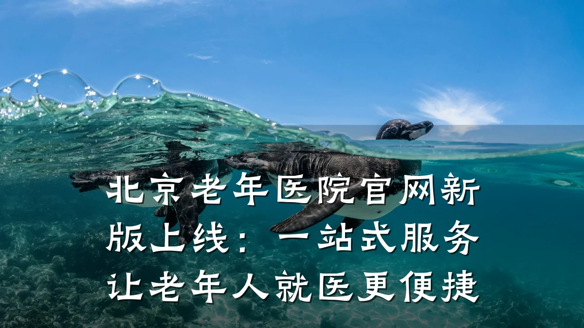 北京老年医院官网新版上线：一站式服务让老年人就医更便捷