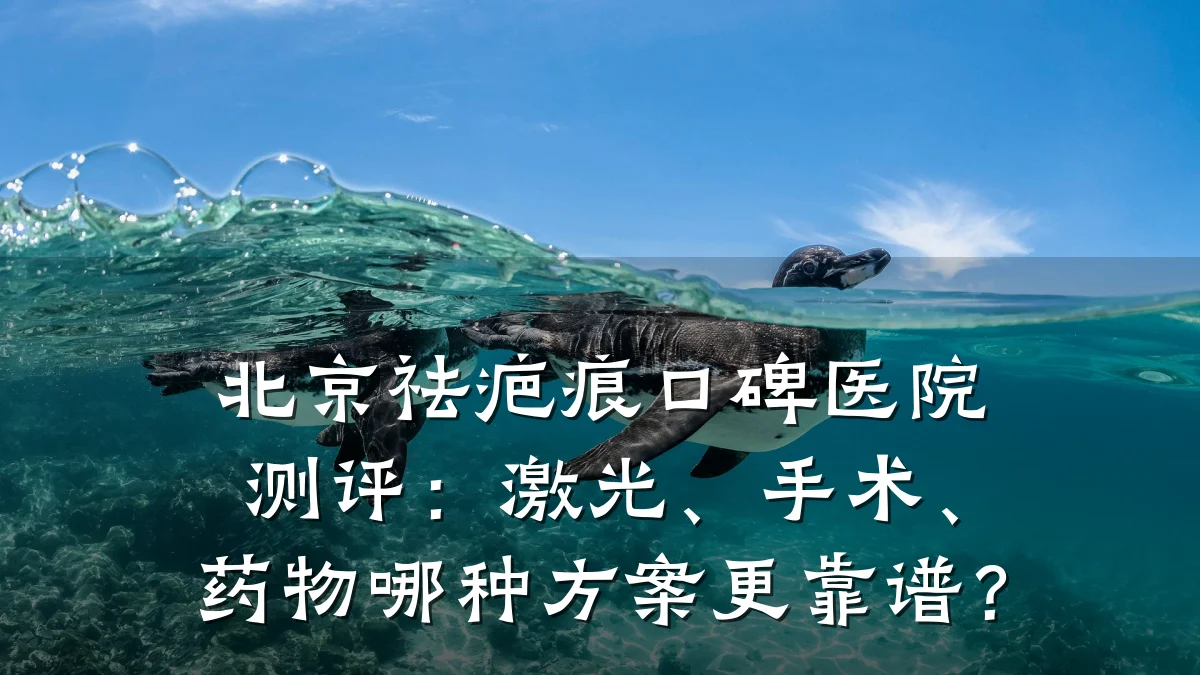 北京祛疤痕口碑医院测评：激光、手术、药物哪种方案更靠谱？