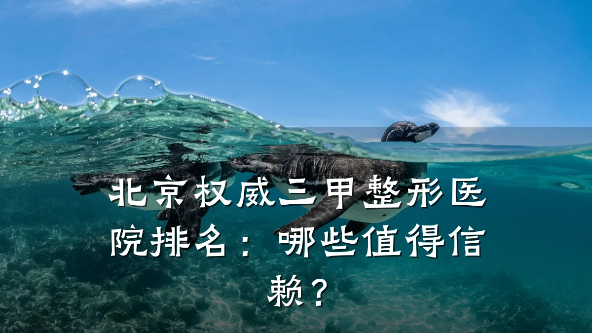 北京权威三甲整形医院排名:哪些值得信赖?