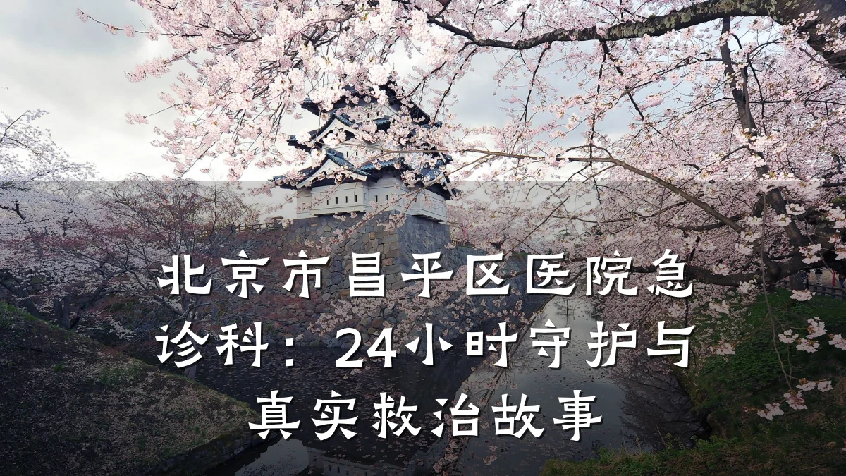 北京市昌平区医院急诊科:24小时守护与真实救治故事