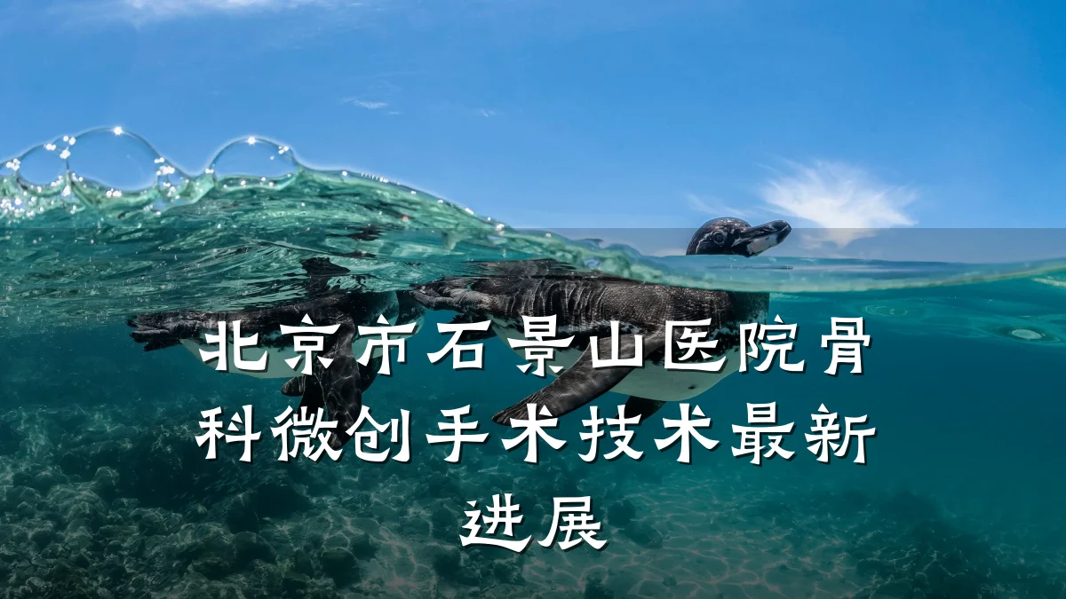 北京市石景山医院骨科微创手术技术最新进展