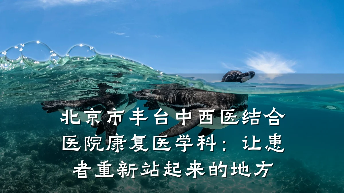 北京市丰台中西医结合医院康复医学科:让患者重新站起来的地方