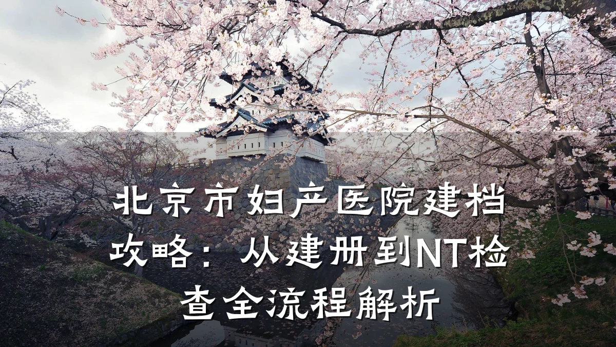 北京市妇产医院建档攻略:从建册到NT检查全流程解析