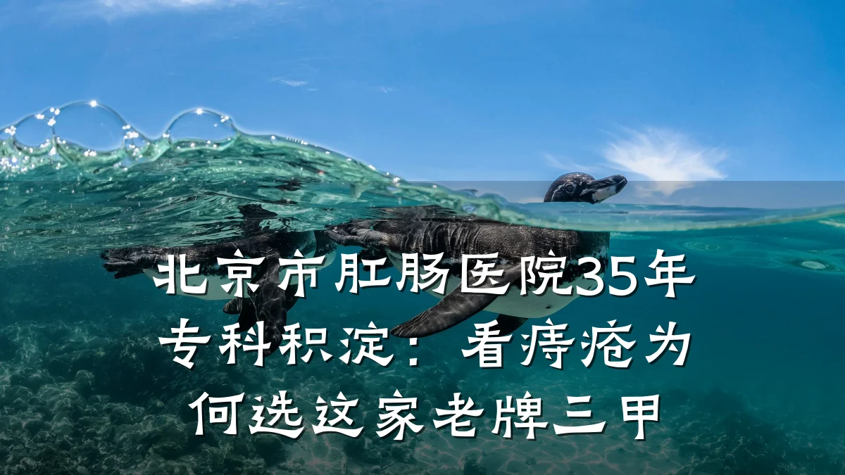 北京市肛肠医院35年专科积淀:看痔疮为何选这家老牌三甲