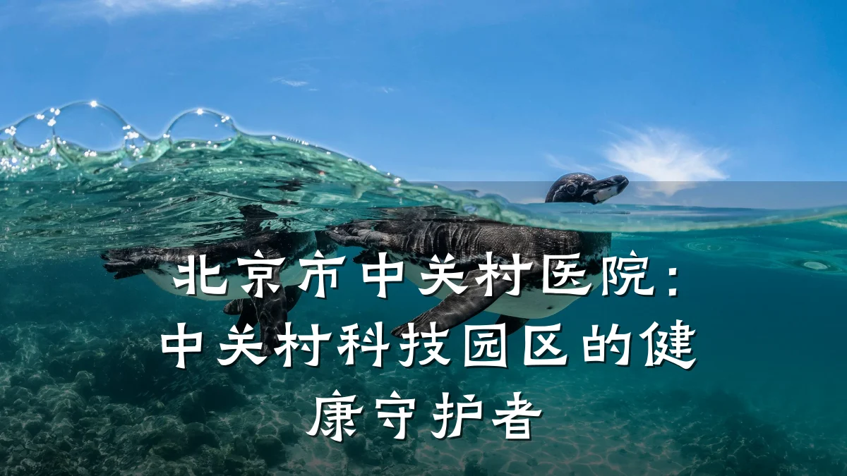 北京市中关村医院:中关村科技园区的健康守护者