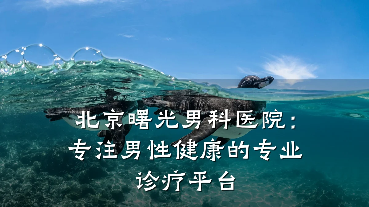 北京曙光男科医院:专注男性健康的专业诊疗平台
