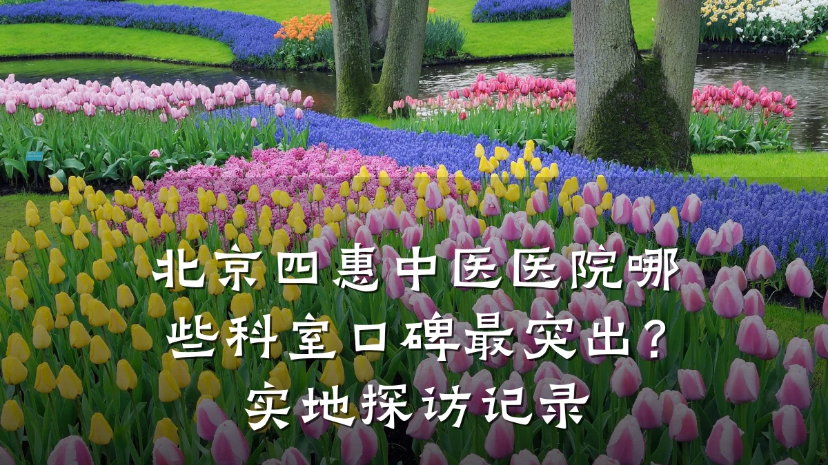 北京四惠中医医院哪些科室口碑最突出?实地探访记录