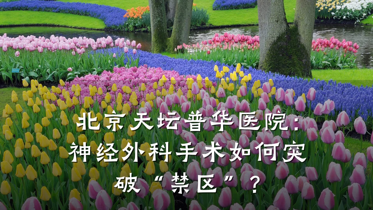 北京天坛普华医院:神经外科手术如何突破“禁区”?