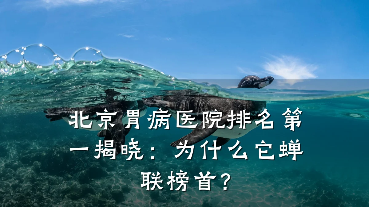 北京胃病医院排名第一揭晓：为什么它蝉联榜首？