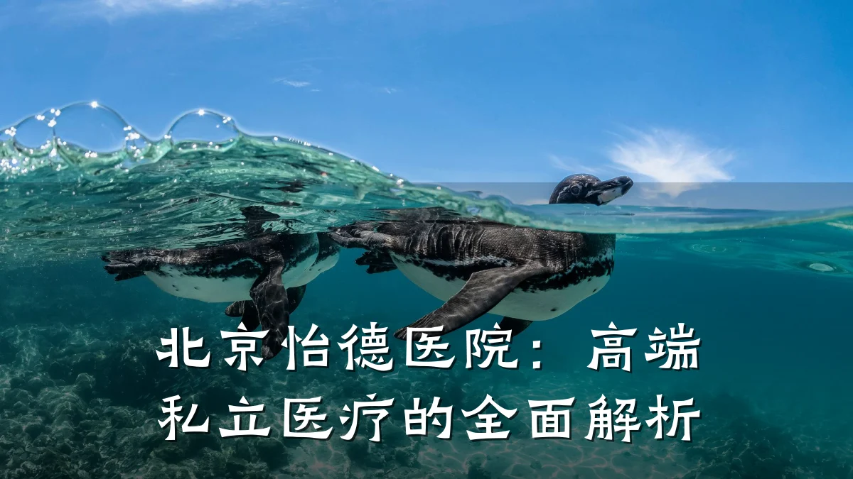 北京怡德医院:高端私立医疗的全面解析