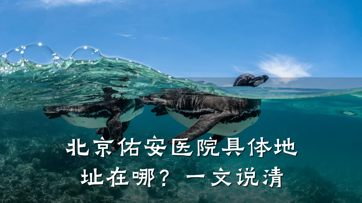 北京佑安医院具体地址在哪?一文说清