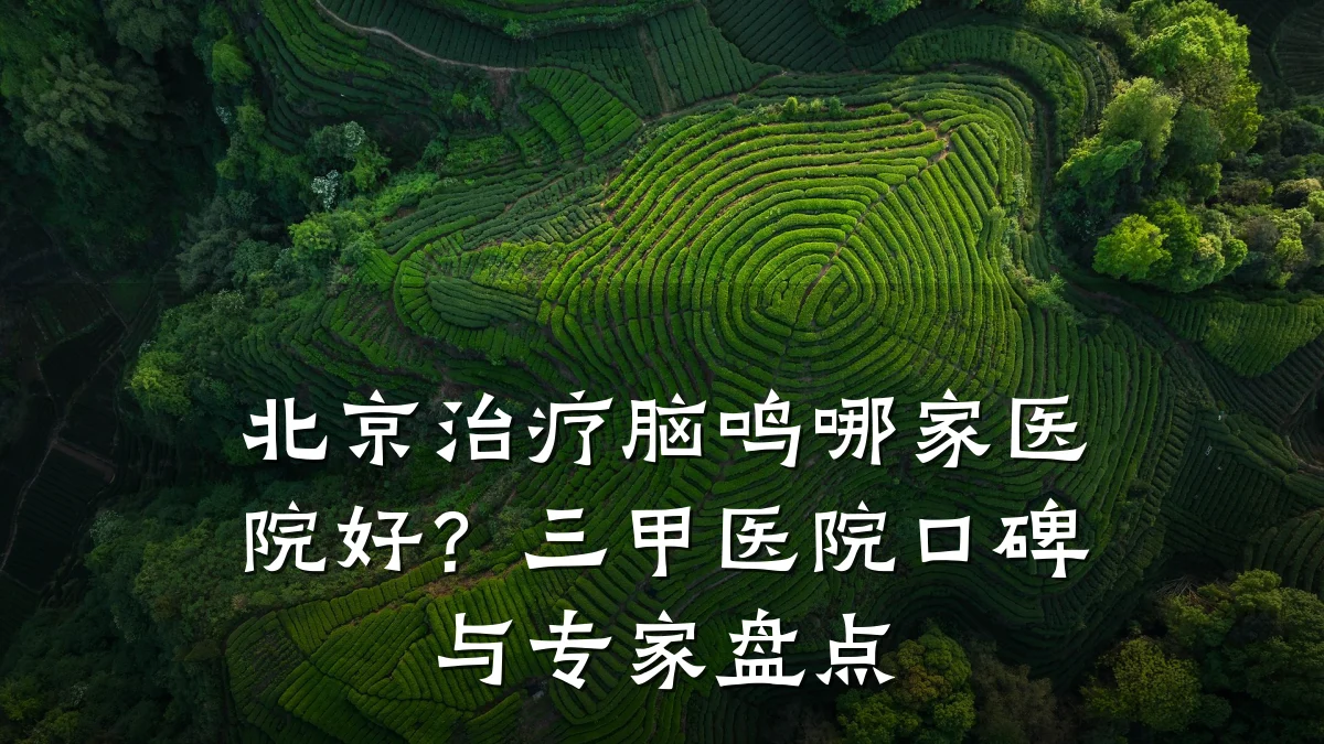 北京治疗脑鸣哪家医院好？三甲医院口碑与专家盘点