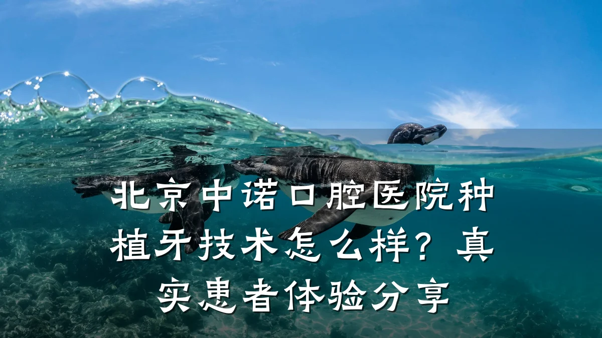 北京中诺口腔医院种植牙技术怎么样?真实患者体验分享