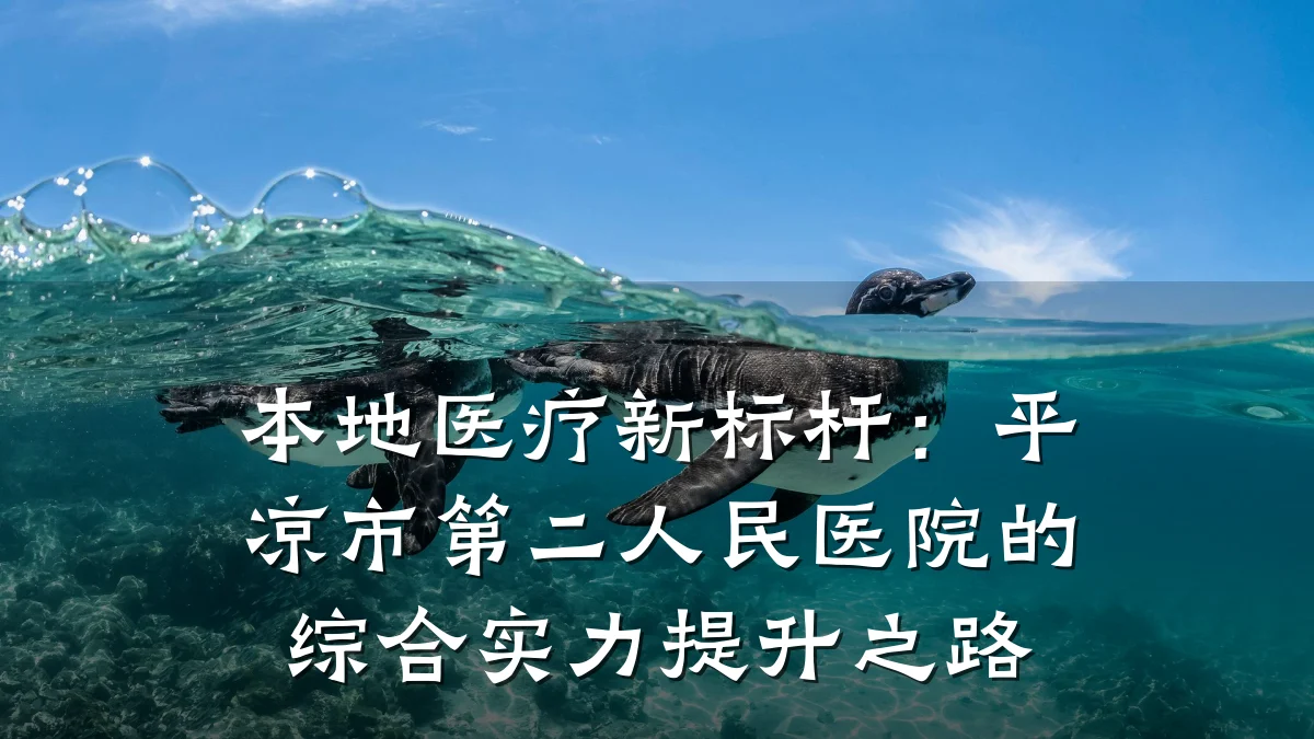 本地医疗新标杆:平凉市第二人民医院的综合实力提升之路