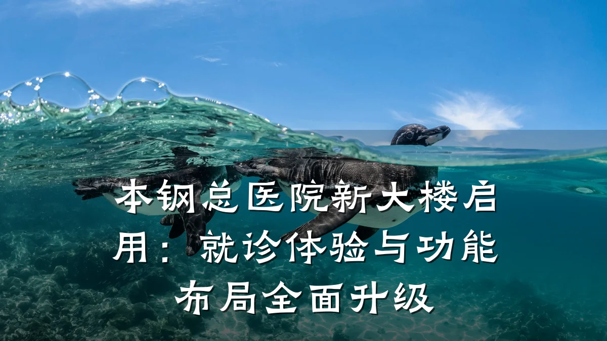 本钢总医院新大楼启用：就诊体验与功能布局全面升级