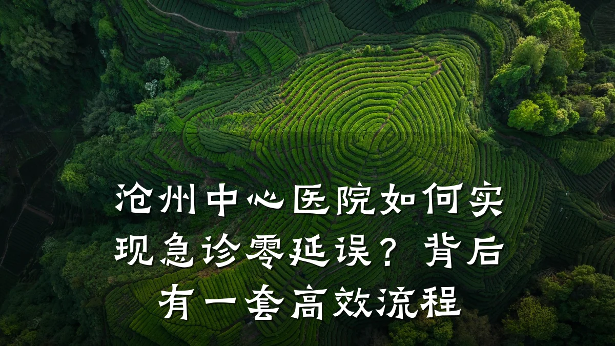 沧州中心医院如何实现急诊零延误?背后有一套高效流程
