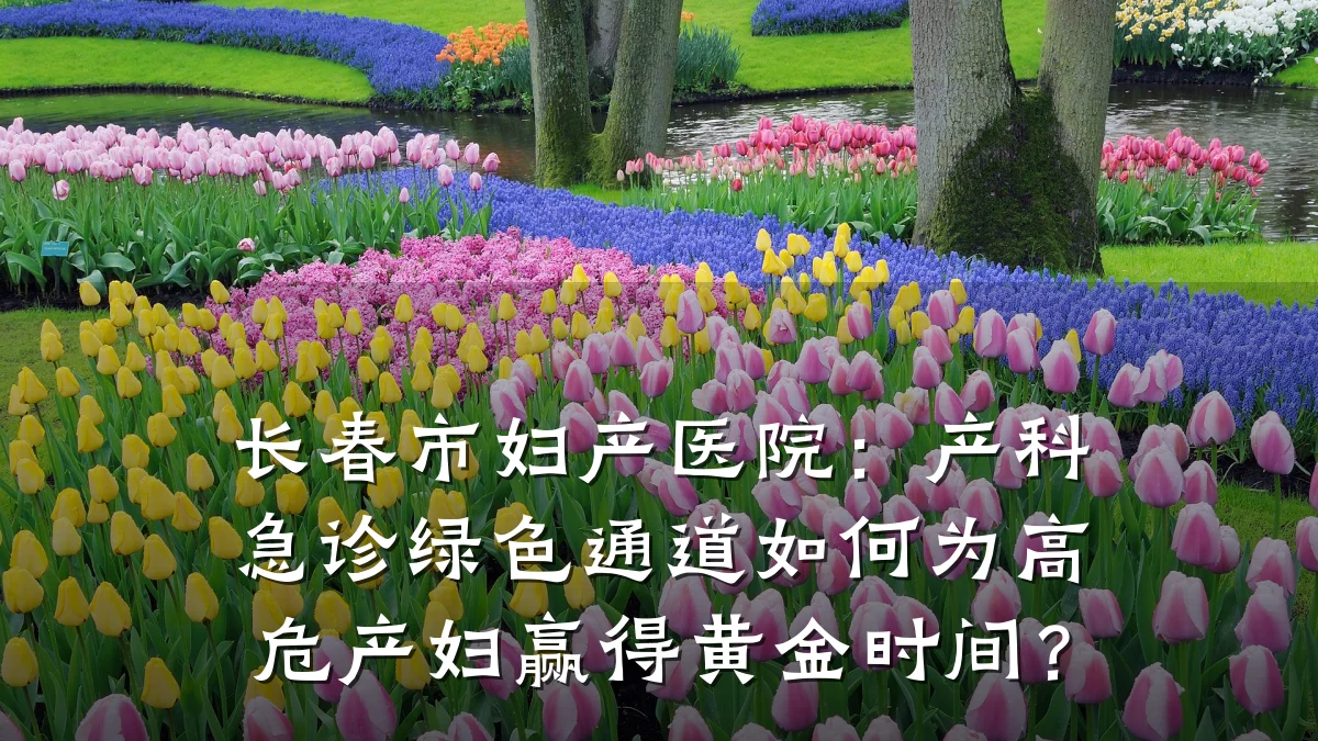 长春市妇产医院：产科急诊绿色通道如何为高危产妇赢得黄金时间？