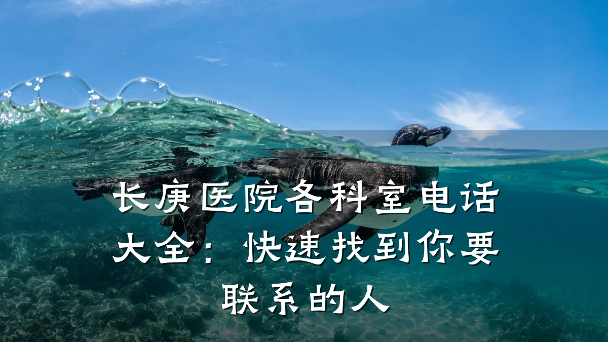 长庚医院各科室电话大全:快速找到你要联系的人