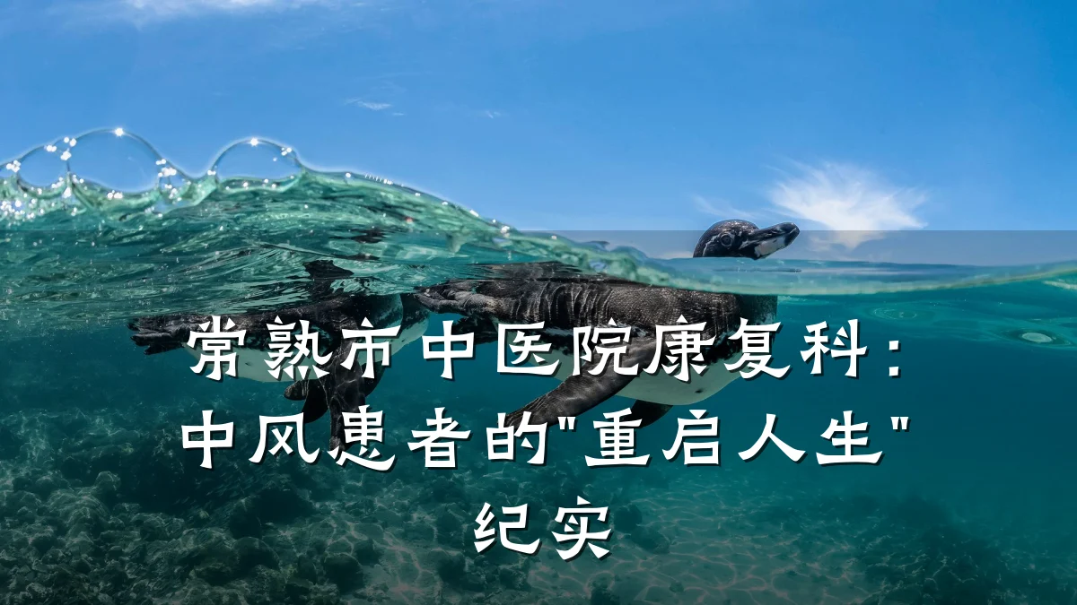 常熟市中医院康复科:中风患者的"重启人生"纪实
