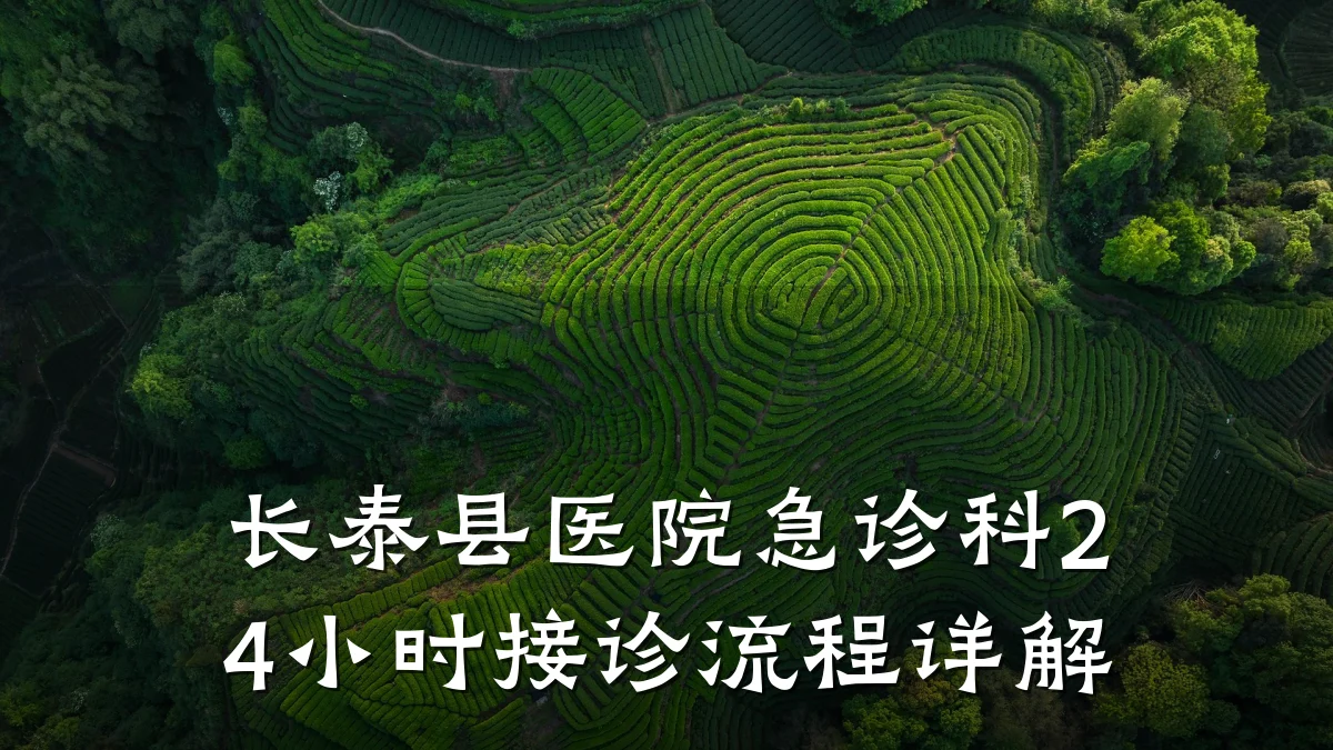 长泰县医院急诊科24小时接诊流程详解