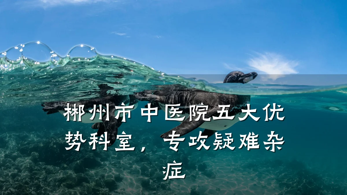 郴州市中医院五大优势科室,专攻疑难杂症