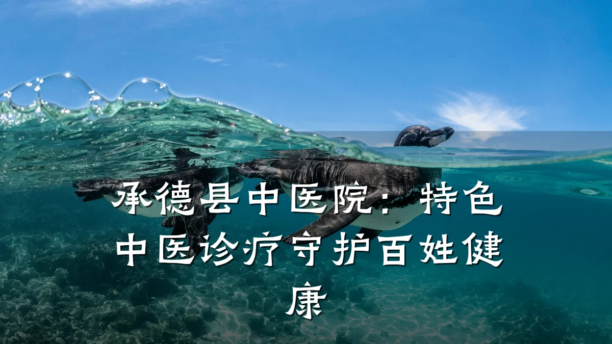 承德县中医院:特色中医诊疗守护百姓健康