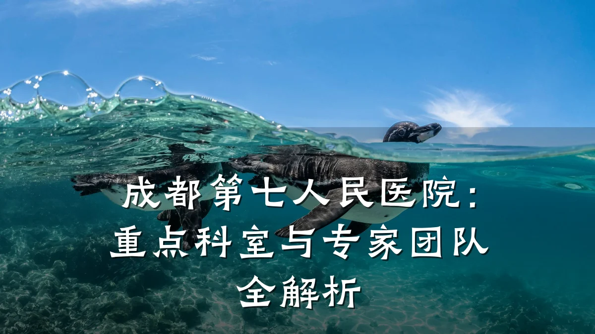成都第七人民医院：重点科室与专家团队全解析