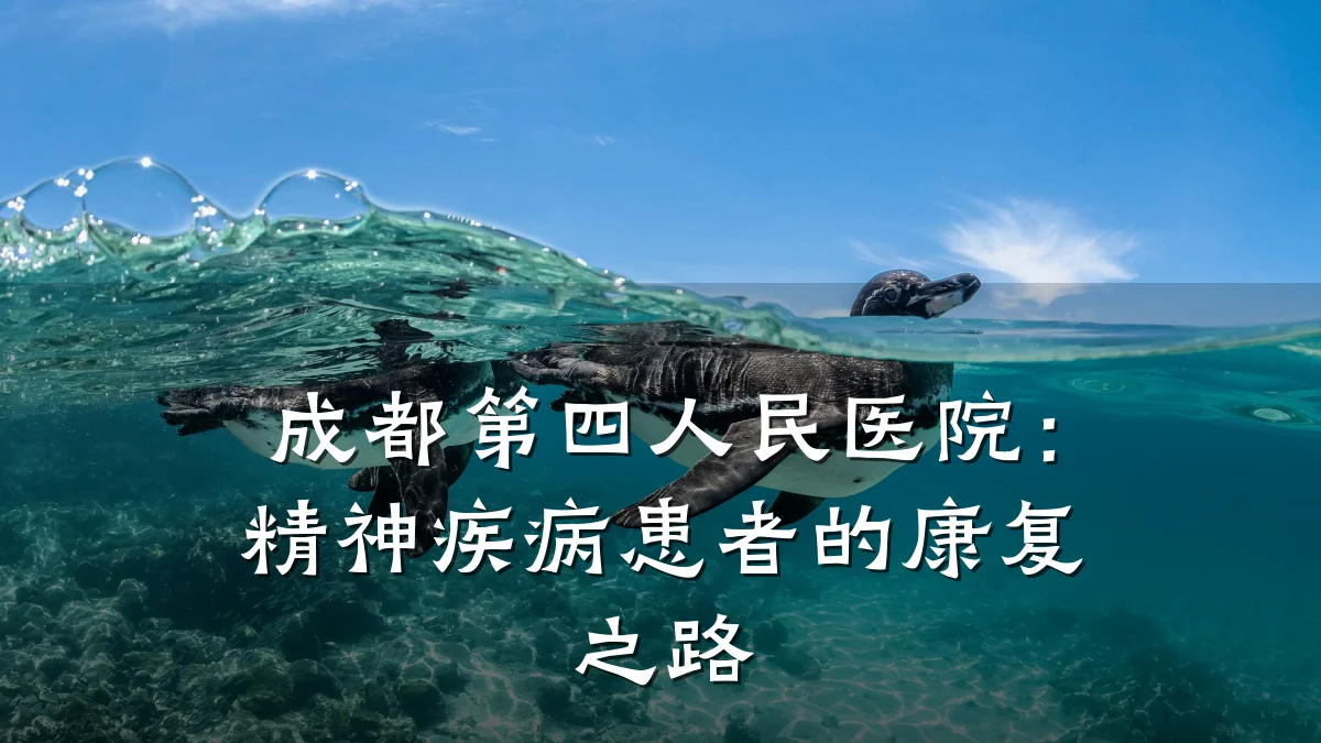 成都第四人民医院：精神疾病患者的康复之路
