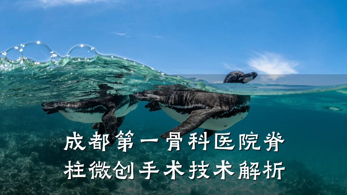 成都第一骨科医院脊柱微创手术技术解析