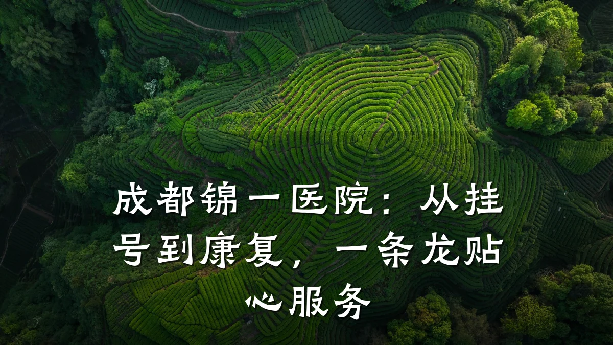 成都锦一医院:从挂号到康复,一条龙贴心服务