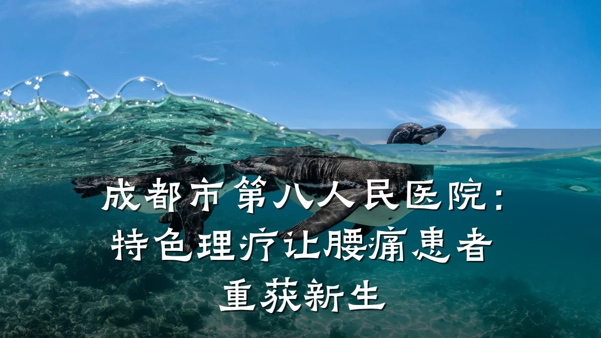 成都市第八人民医院:特色理疗让腰痛患者重获新生