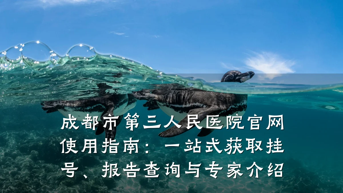 成都市第三人民医院官网使用指南：一站式获取挂号、报告查询与专家介绍