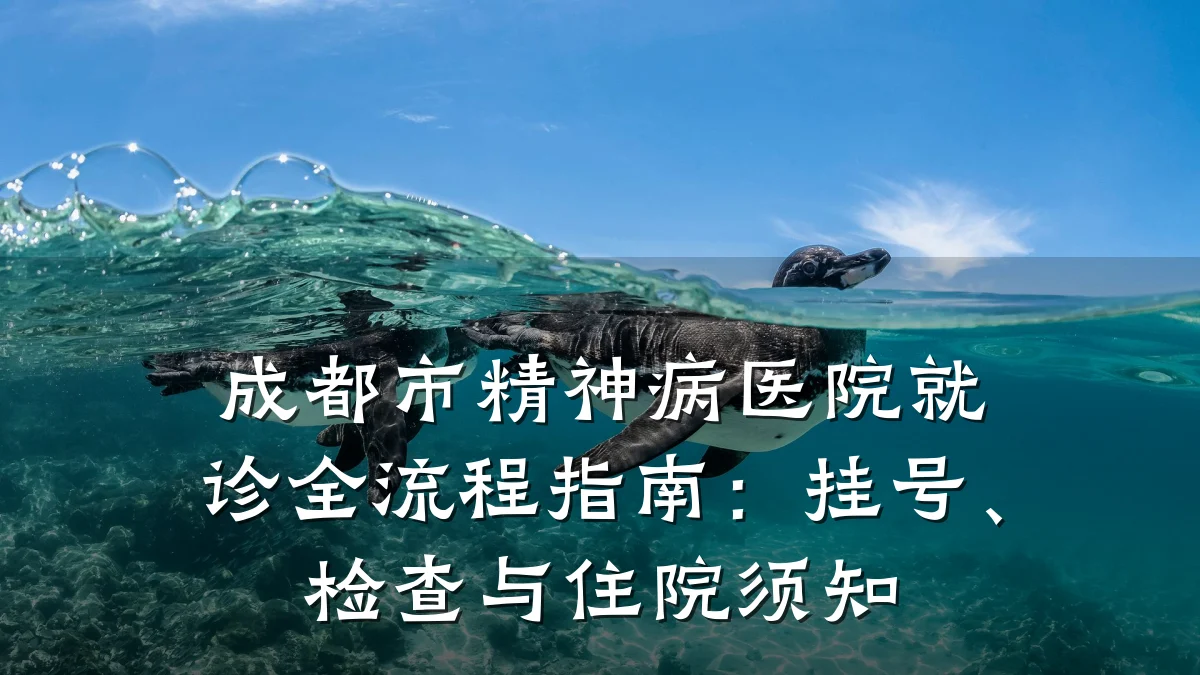 成都市精神病医院就诊全流程指南:挂号、检查与住院须知