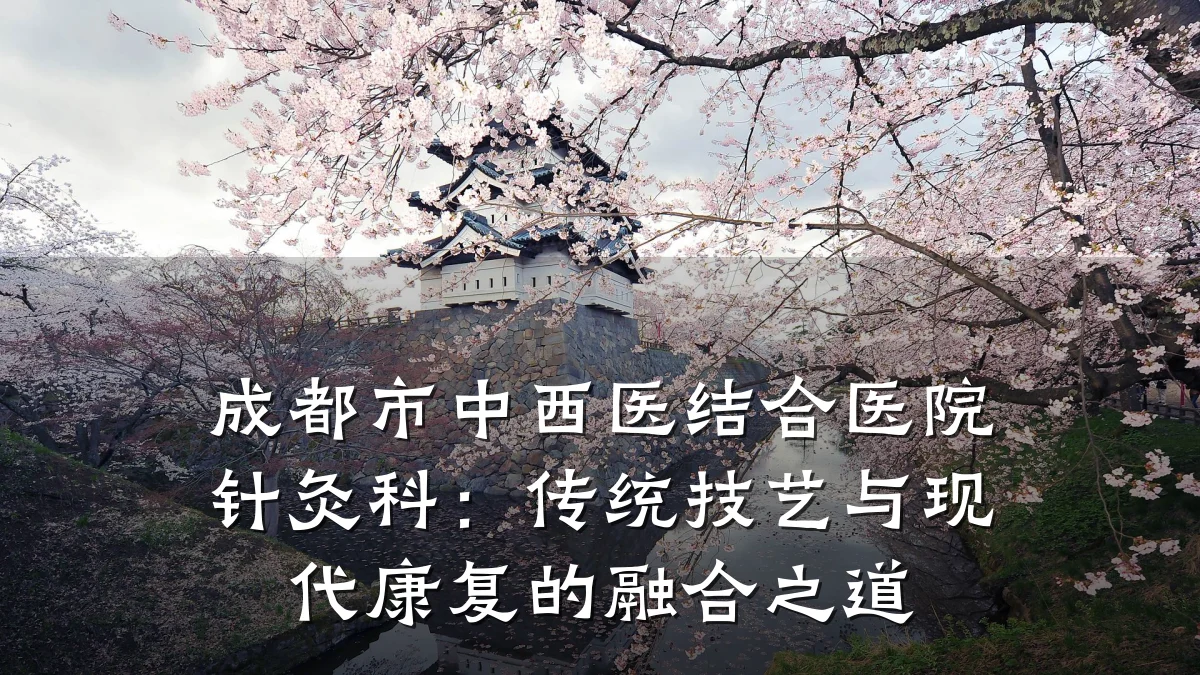 成都市中西医结合医院针灸科:传统技艺与现代康复的融合之道