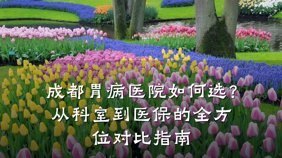 成都胃病医院如何选?从科室到医保的全方位对比指南