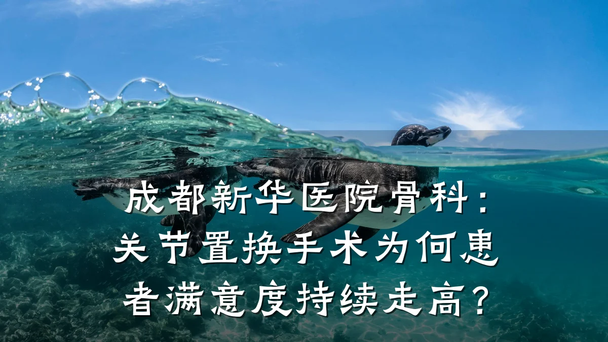 成都新华医院骨科:关节置换手术为何患者满意度持续走高?