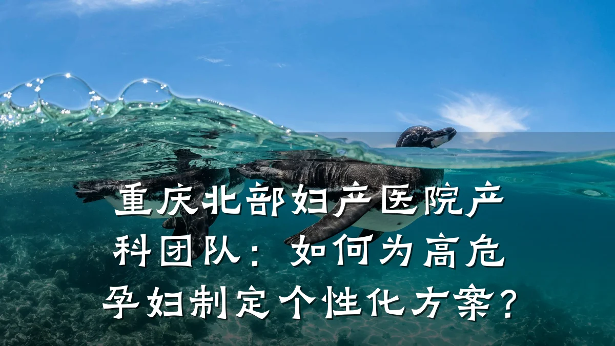 重庆北部妇产医院产科团队:如何为高危孕妇制定个性化方案?