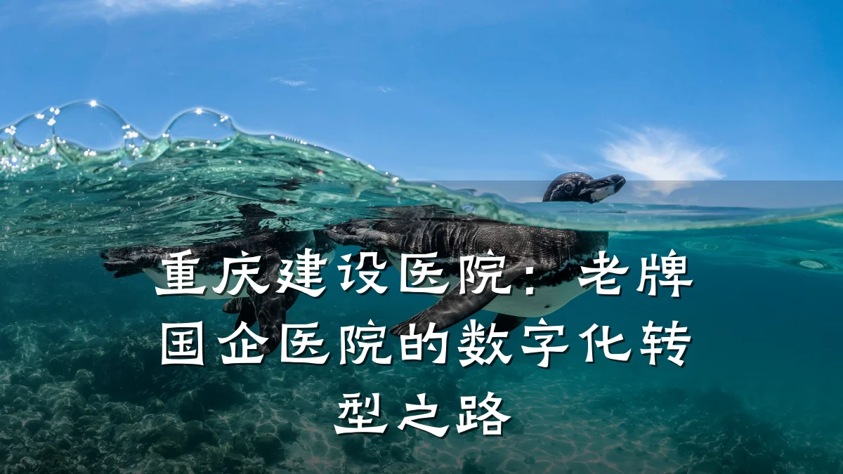 重庆建设医院:老牌国企医院的数字化转型之路