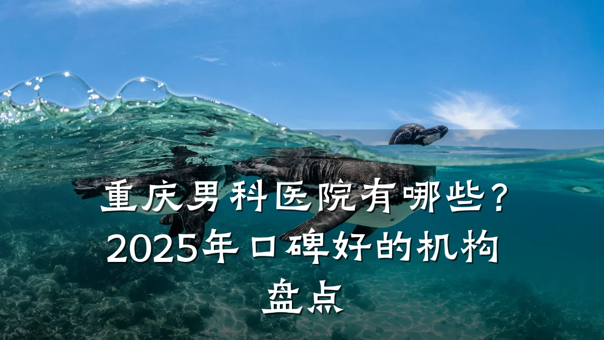 重庆男科医院有哪些?2025年口碑好的机构盘点