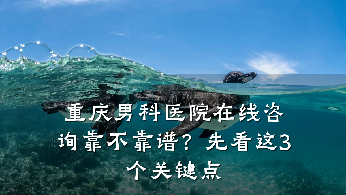 重庆男科医院在线咨询靠不靠谱?先看这3个关键点