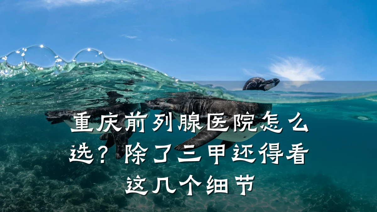 重庆前列腺医院怎么选?除了三甲还得看这几个细节