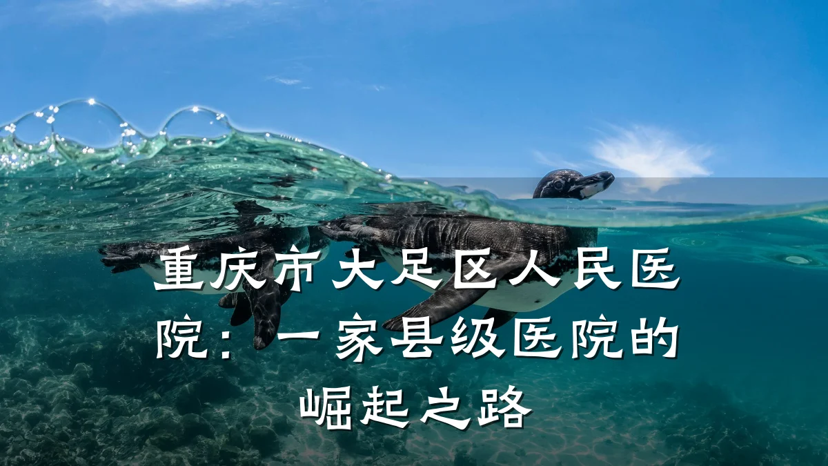 重庆市大足区人民医院：一家县级医院的崛起之路