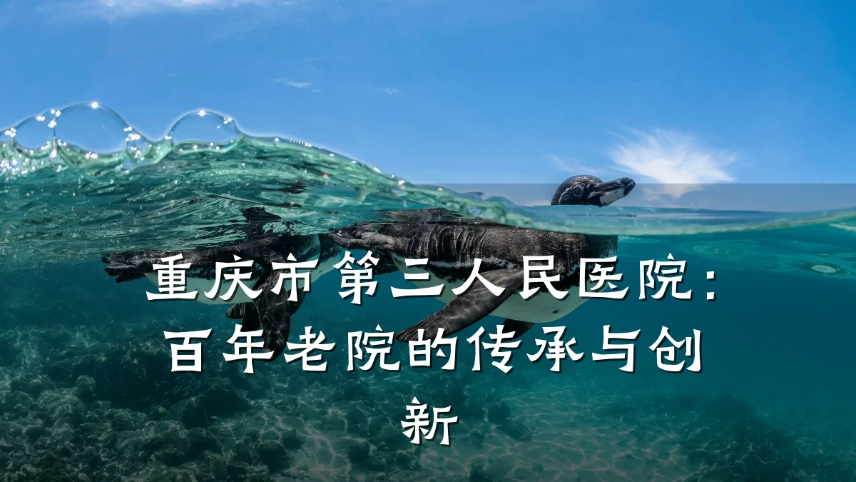 重庆市第三人民医院:百年老院的传承与创新