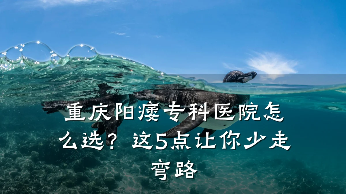重庆阳痿专科医院怎么选?这5点让你少走弯路