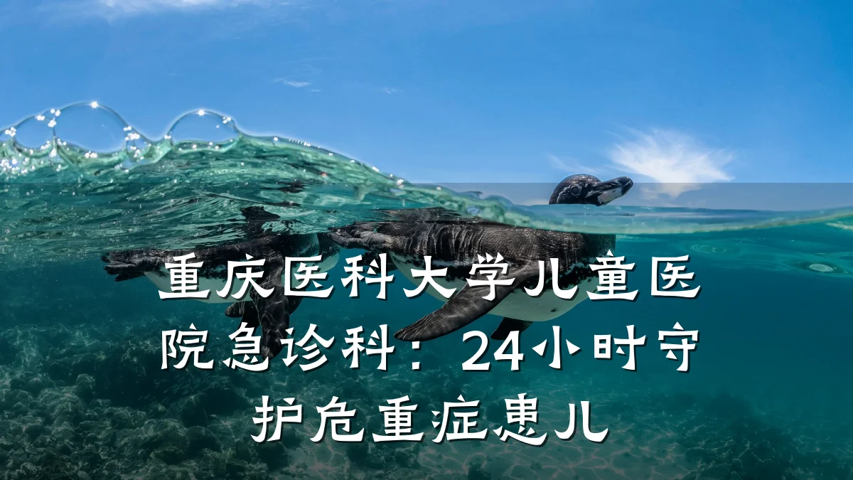 重庆医科大学儿童医院急诊科：24小时守护危重症患儿