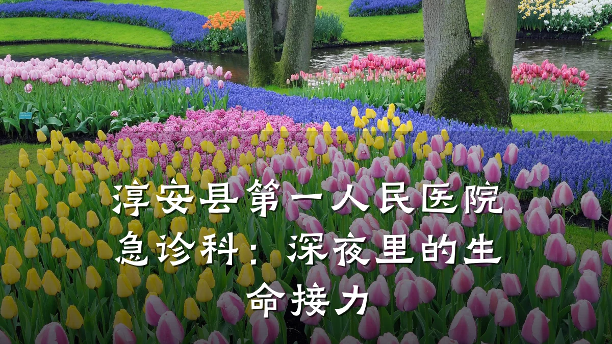 淳安县第一人民医院急诊科：深夜里的生命接力